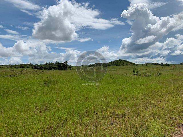 Fazenda 1300 ha para Arrendamento barra do bugres - Foto 5
