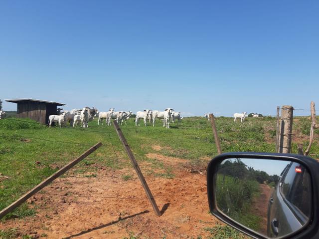 Fazenda de 154 alqueires - Foto 11