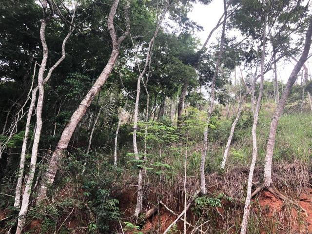 Terreno em condomínio - Foto 3