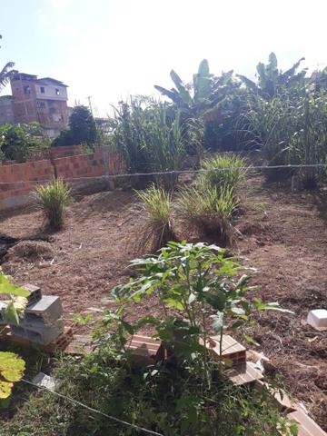 Terreno na Travessa Tancredo Neves , urbis 1 Candeias