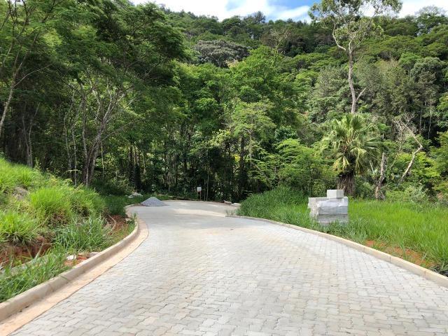 Terreno em Itaipava - Foto 4