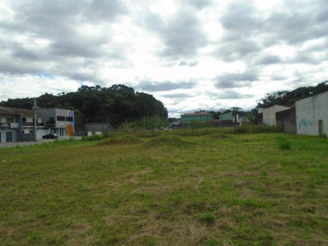 Terreno para alugar em Santa catarina, Joinville cod:08122.001 - Foto 4