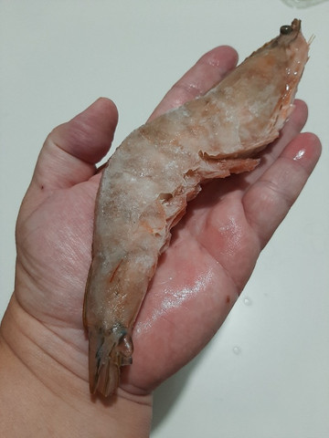 Pescados camarão linguado marisco polvo - Foto 4