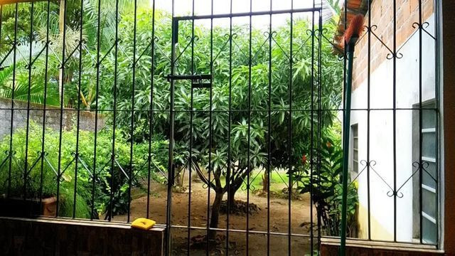 Vendo uma casa em Bragança-PA - Foto 19