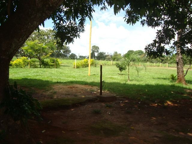 Chácara Excelente 2,5 Alqueires, Próximo à Rozelandia-Bela Vista de Goiás - Foto 9