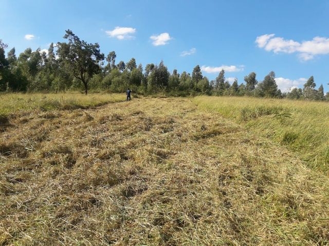 FT lotes e fazenda - Foto 3