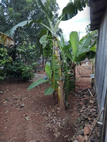 Vendo casa tipo chácara - Foto 2