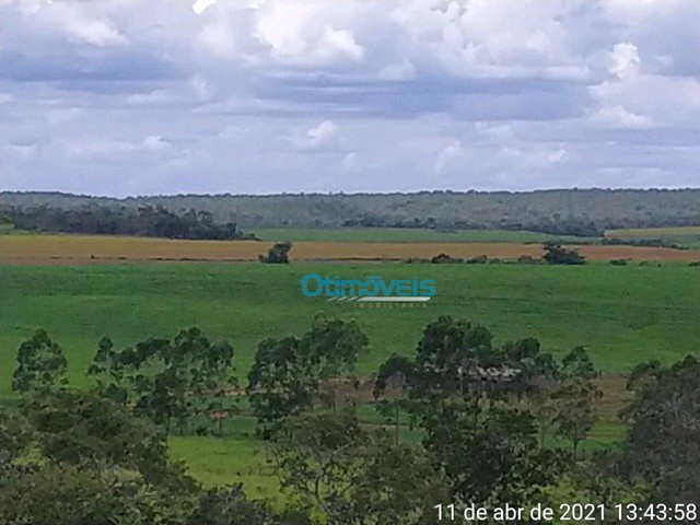 Fazenda em Grajaú - MA - Foto 11