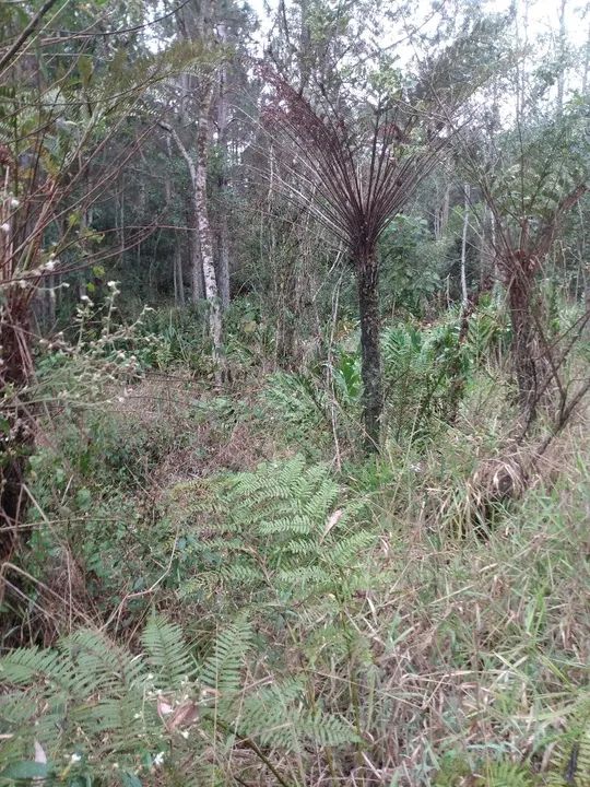 Área 37.650 m2 Embú Guaçu/Parelheiros  - Foto 8
