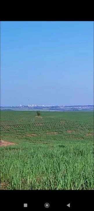 Fazenda de cana melhor preço  - Foto 4