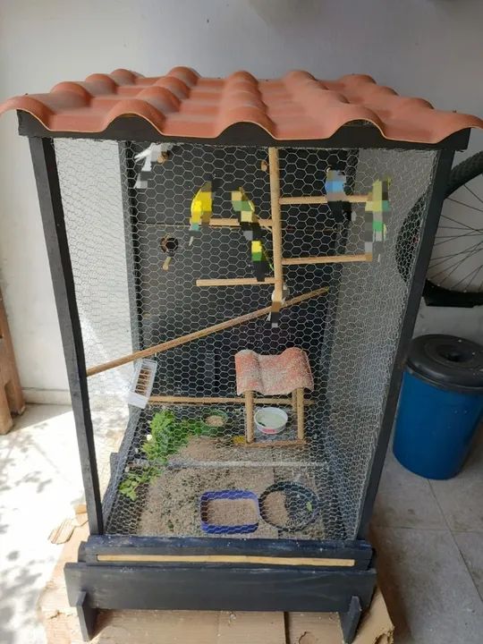 Viveiro em CARUARU PE - Foto 4