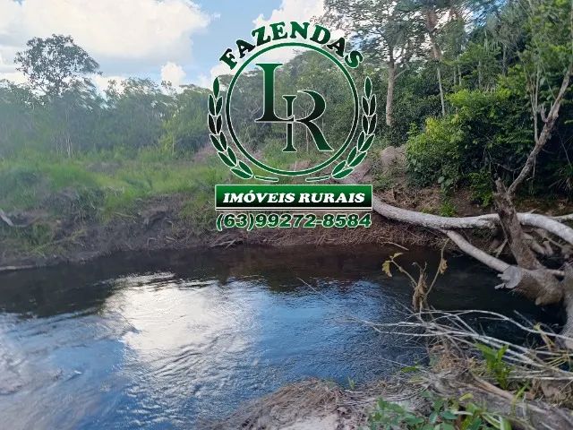Fazenda 119 Alqueires Bruta Dupla Aptidão - Foto 2