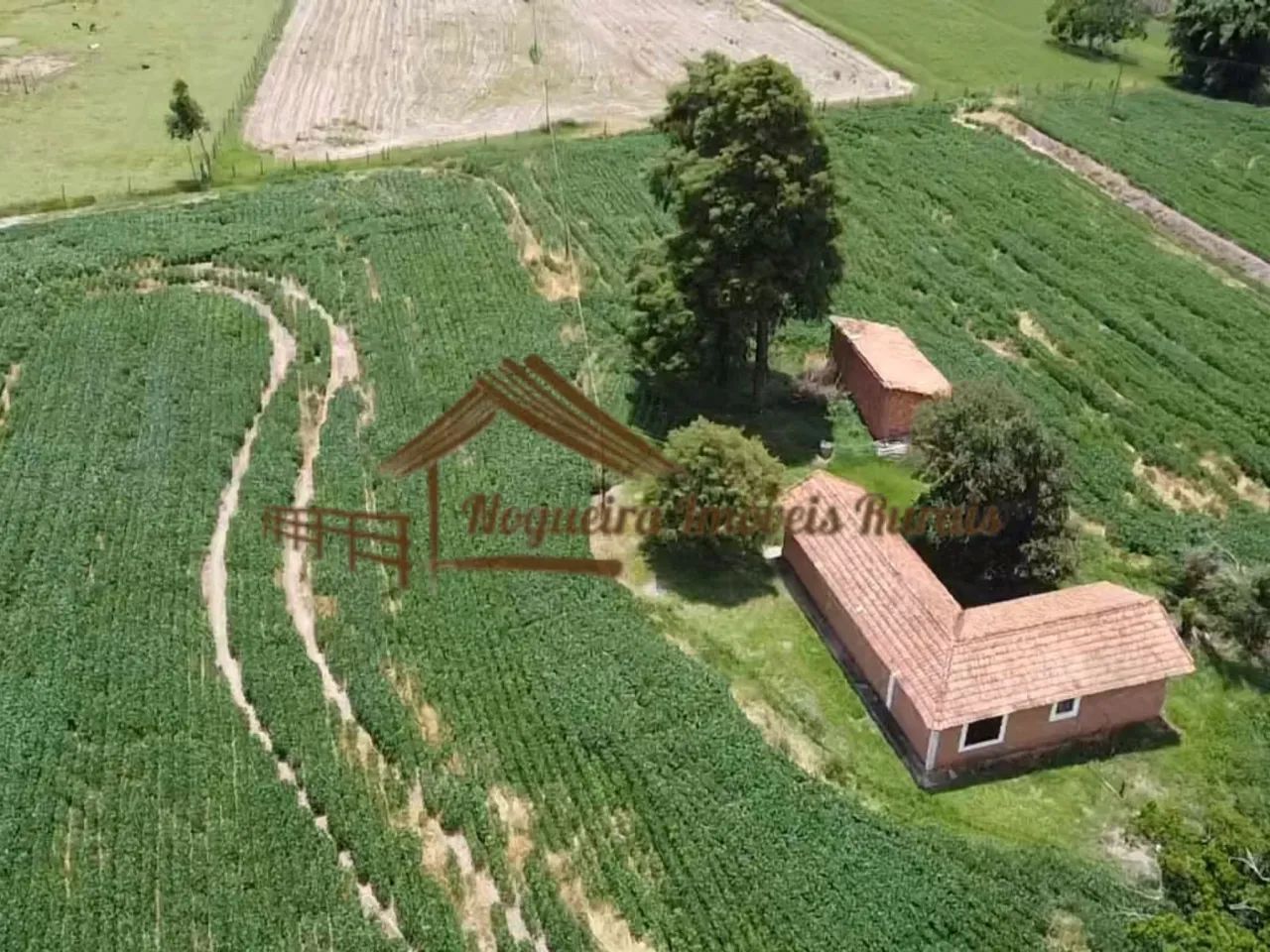 Sítio com 16 Alqueires na Região De Avaré-SP - Foto 3