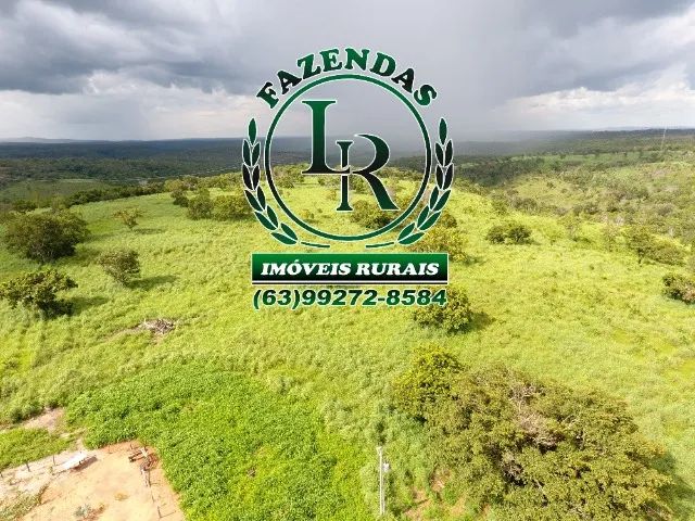 Fazenda 28 alqueires Próximo Taquaruçu - Foto 2