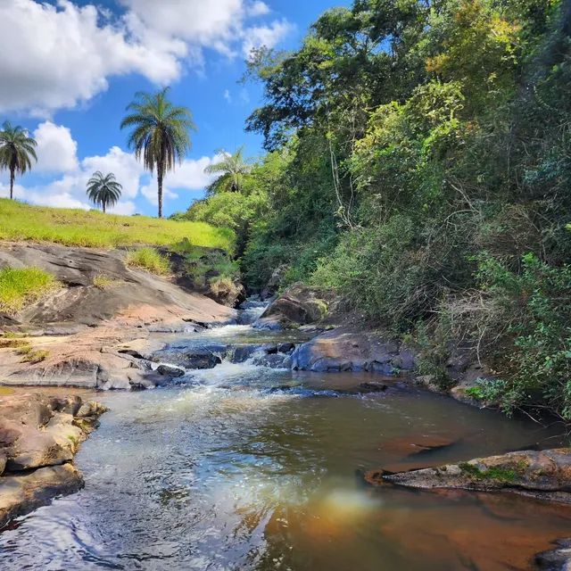Lindo Sítio 3 hectares Santa Bárbara - Foto 15