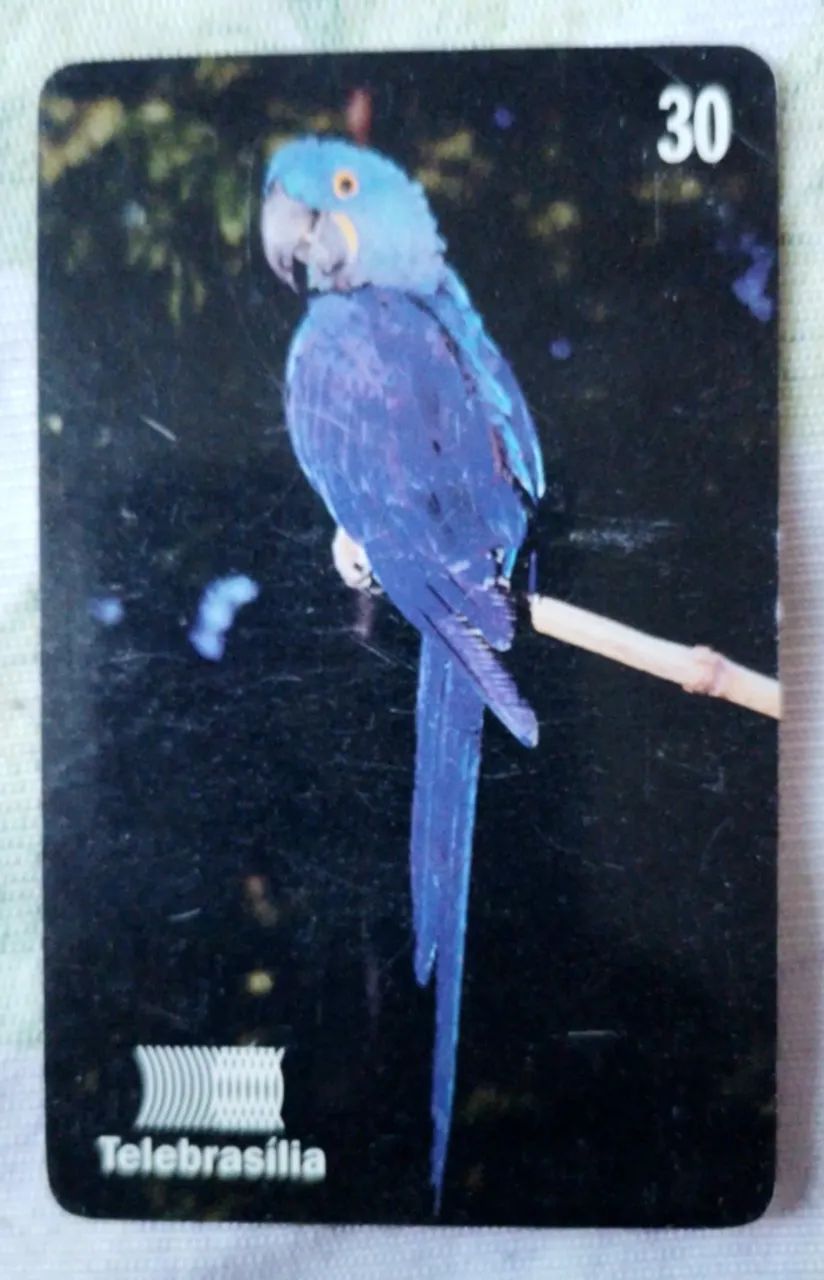 Cartão Telefônico Série Arara Azul Grande Antigo - Foto 3
