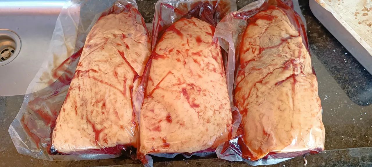 Churrasqueiro profissional  - Foto 3