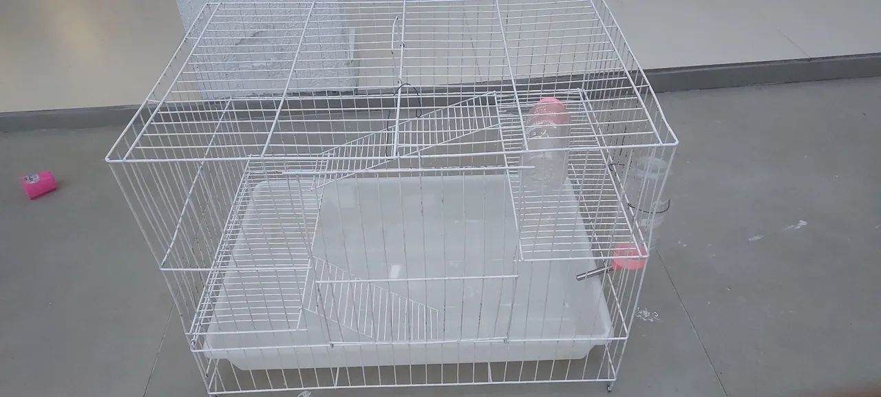 Gaiola para porquinho da Índia 