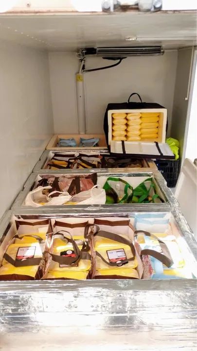 FÁBRICA DE MINI-PASTÉIS E MINI-SALGADOS EM ATIVIDADE À VENDA EM BH!