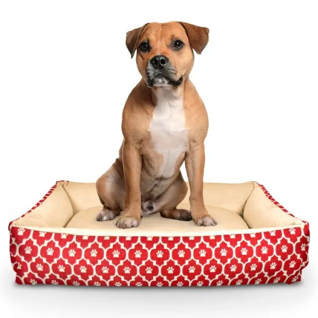 Caminha Pet Cachorro Gato Resistente Premium Estampada M - Foto 3