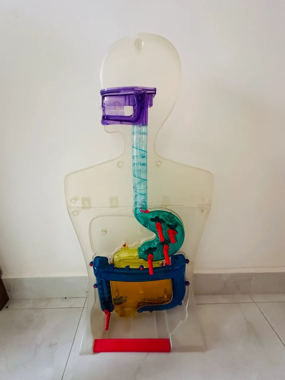 Simulador aparelho digestivo salvat