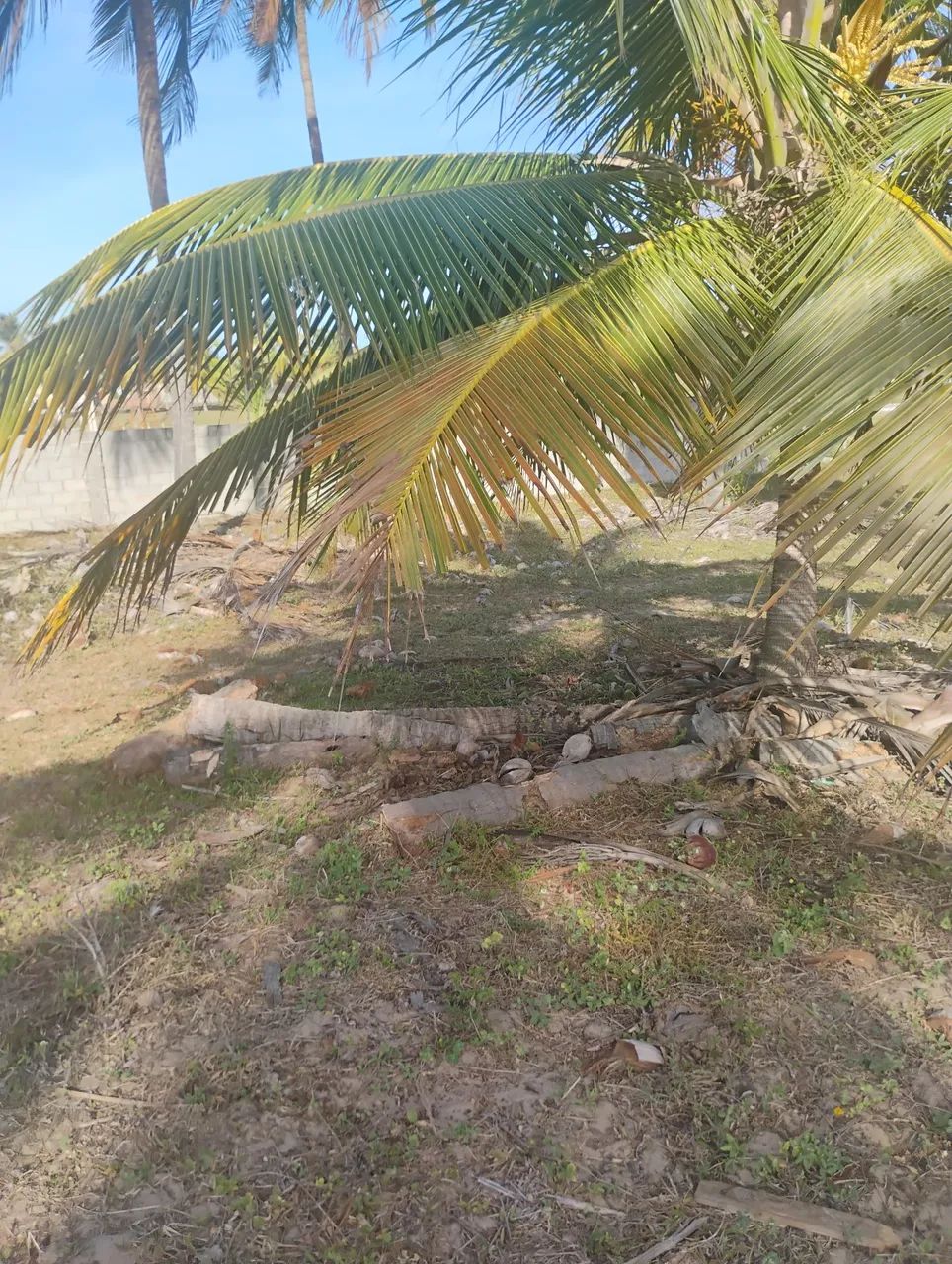 Foto - Barra Dos Coqueiros - 