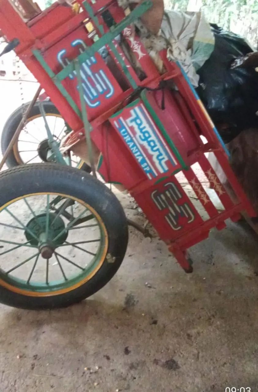 Carroça de Madeira seminova