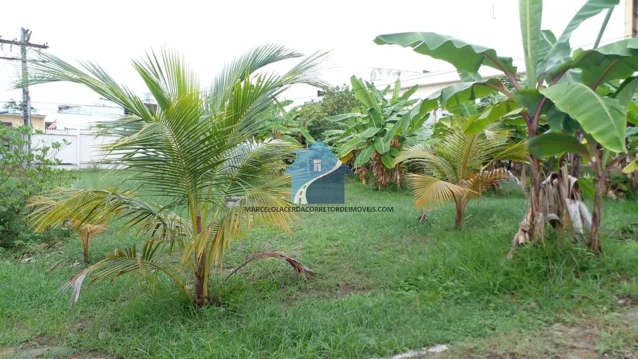 Terreno na Rua Manicoré - Cachoeirinha - Foto 5