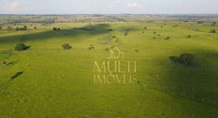 Fazenda à venda, 223 alqueires por R$ 39.500.000 - Rural - Palmeira d`Oeste/SP