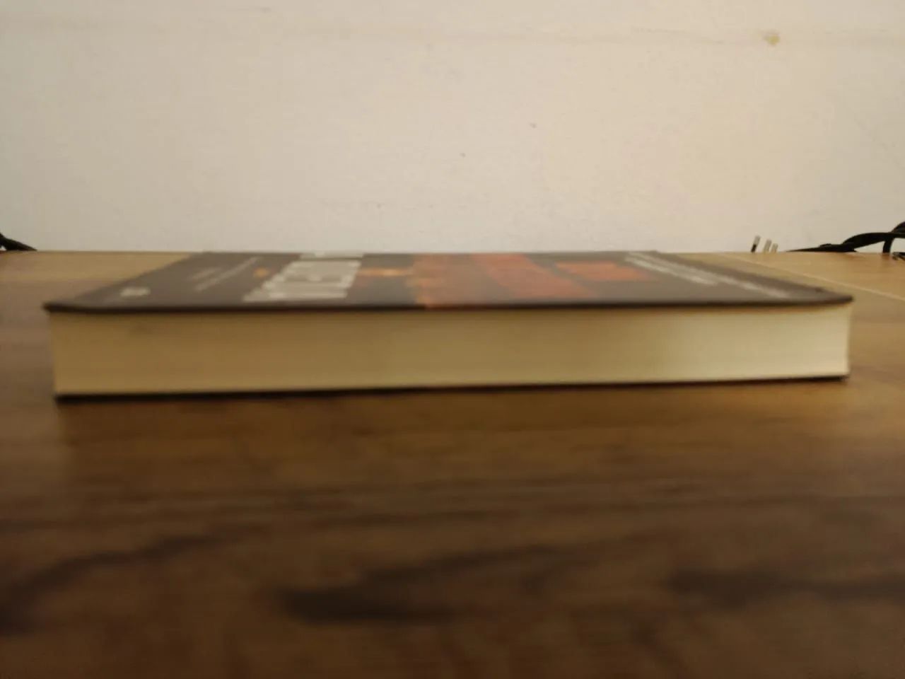 Livro A Queda - Foto 4