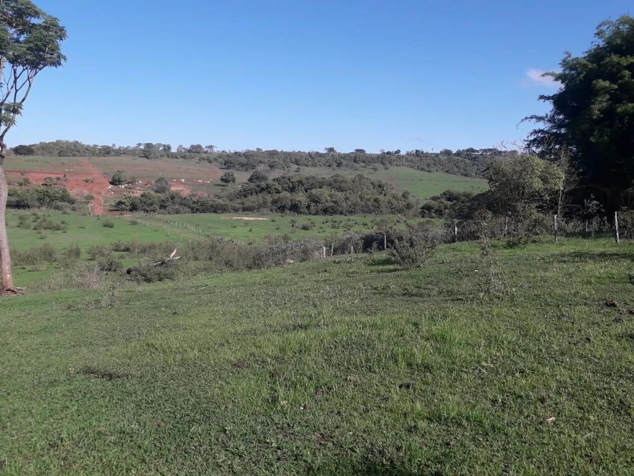 Fazenda à venda no triângulo Mineiro  - Foto 3