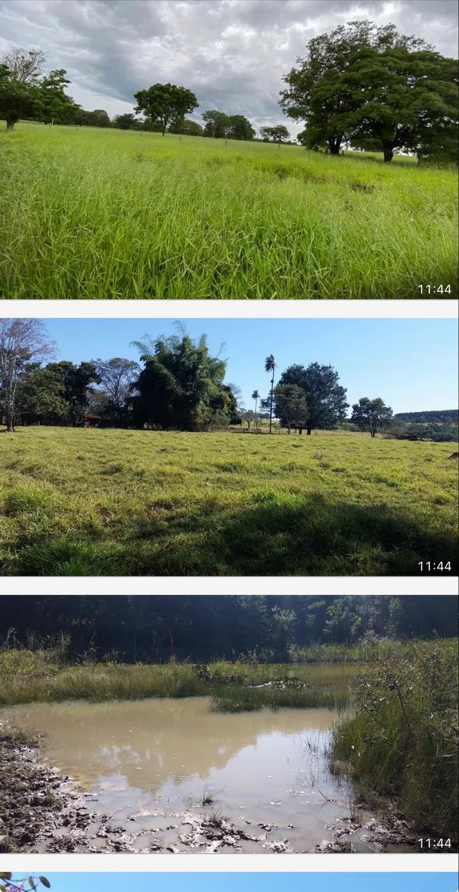Fazenda próximo Uberlândia 80% aproveitamento  - Foto 3