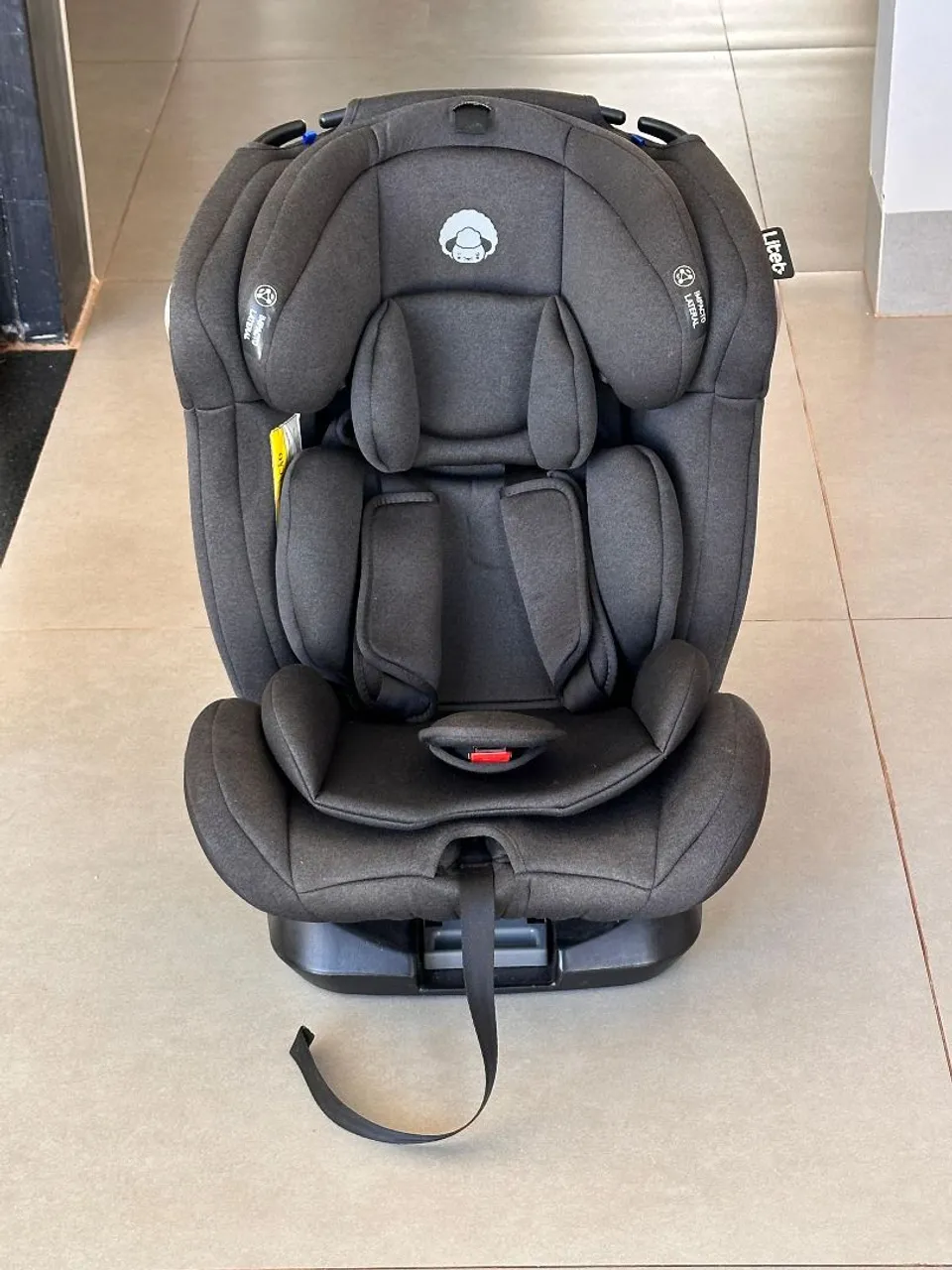 Cadeirinha de Carro para Bebê
