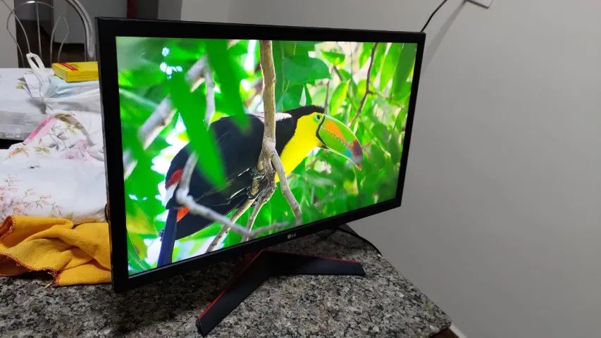 Monitor Gamer 24GL600F-B 24 Polegadas FullHD 144hz 1ms - Foto 2