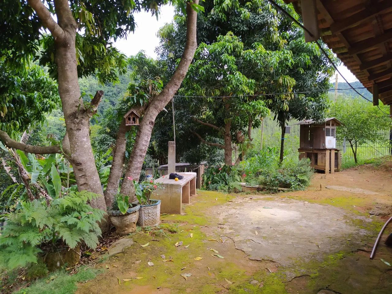 Vendo Chacara Domingos Martins Casa 3Q em Panelas a 7km Br262 e de 4km Biriricas - Foto 12