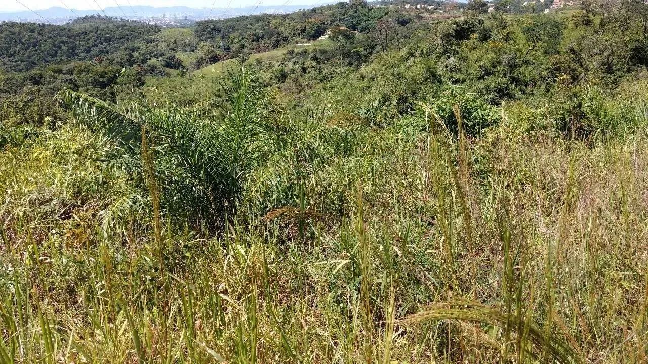 Lote - Terreno à venda, 20 vagas, Veneza - Ribeirão das Neves/MG - Foto 2