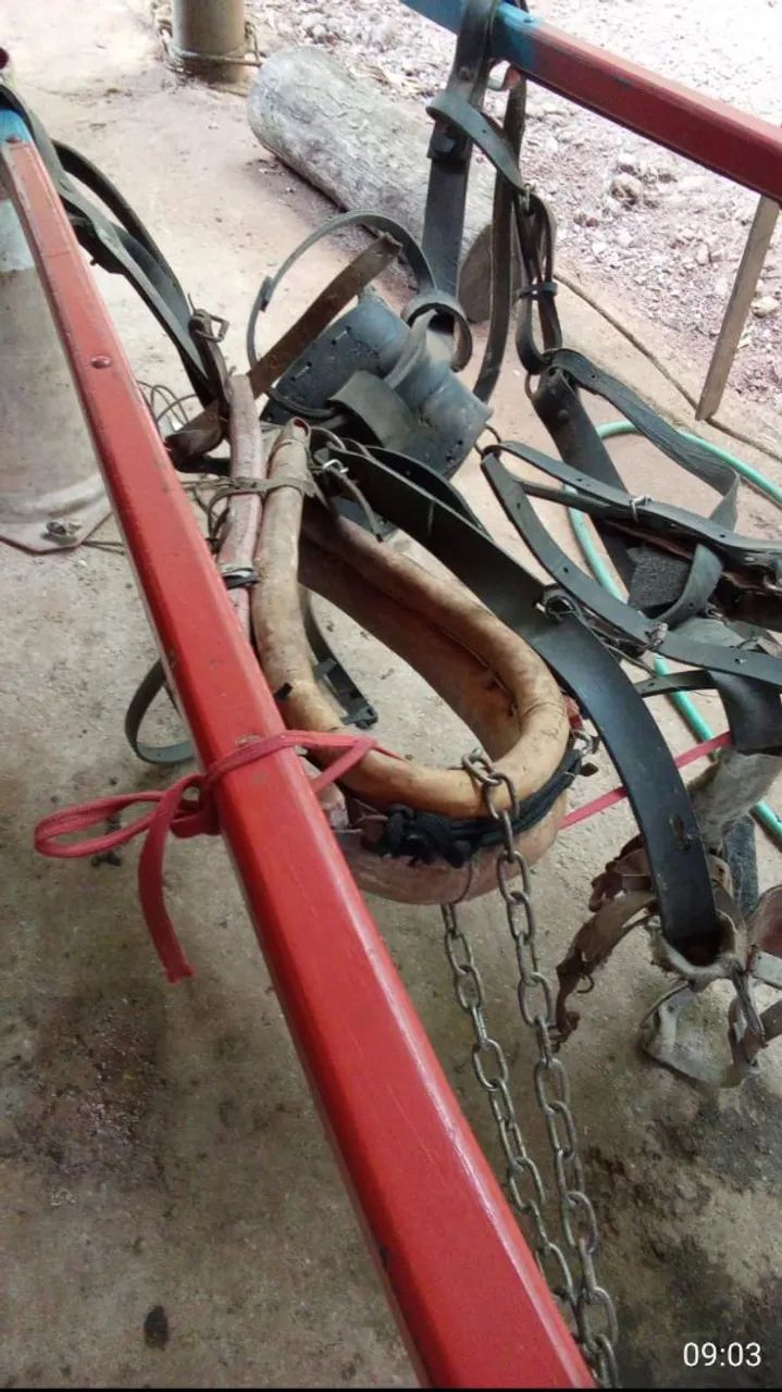 Carroça de Madeira seminova - Foto 3