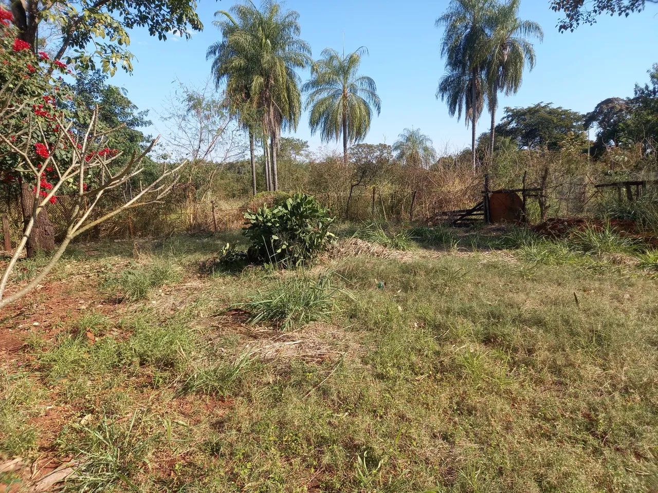 Vendo uma chácara a 15 km de Campo Grande MS  - Foto 3