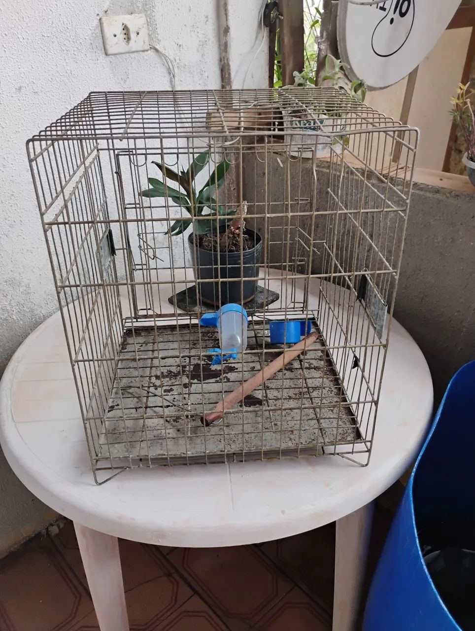 Gaiola de passarinho