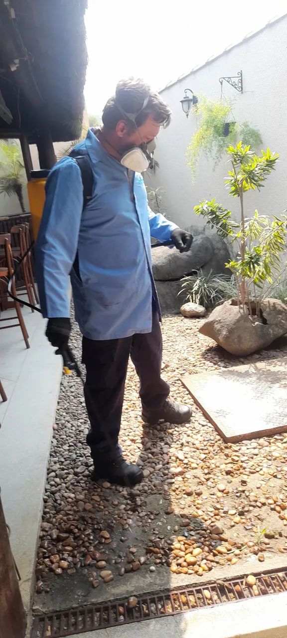 Dedetização em geral  - Foto 5