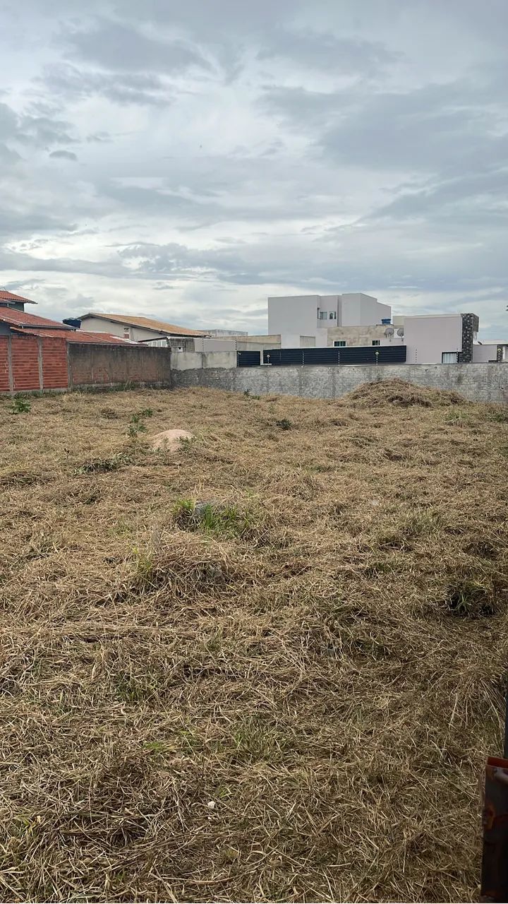 Roçagem e podas 