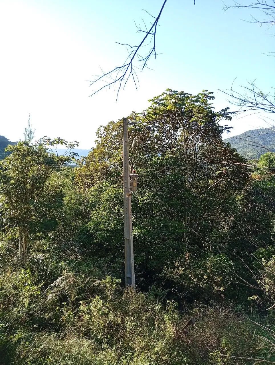 Terreno rural - Foto 2
