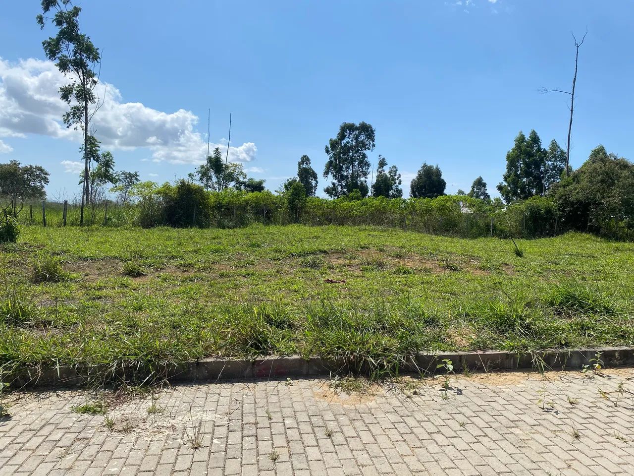 Vendo lote E repasso financiamento. - Foto 3