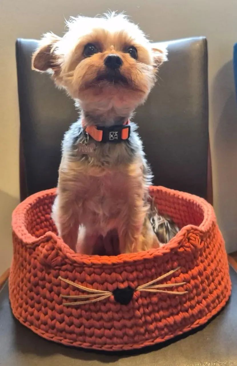 Cama para gatos de crochê fio de malha  - Foto 2