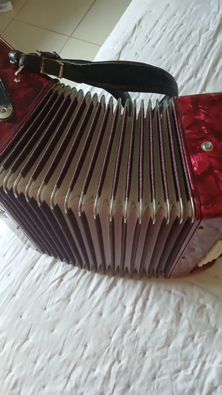 ACORDEON - Marca DOLPHIN - Foto 3