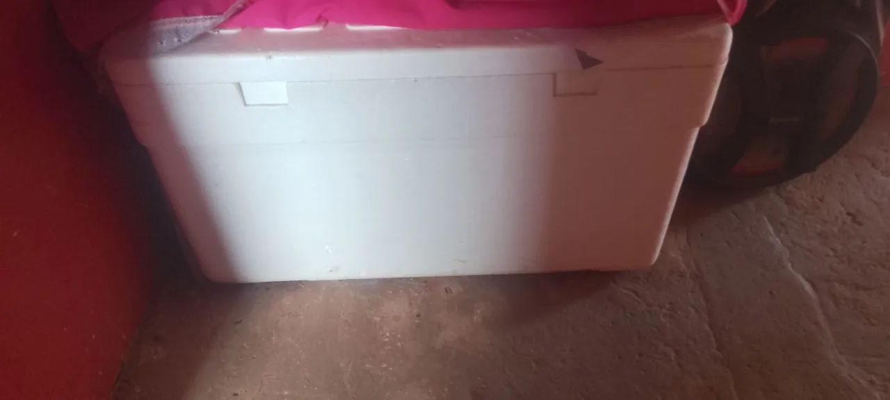 Carrinho minha renda pra vender  - Foto 5