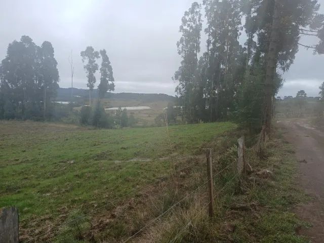 ? OPORTUNIDADE NA SERRA CATARINENSE ? - Foto 4