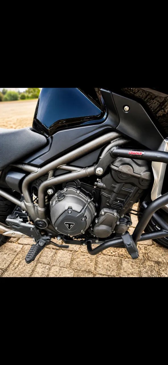  Triumph Tiger Explorer XR 1200 2017  - Foto 4