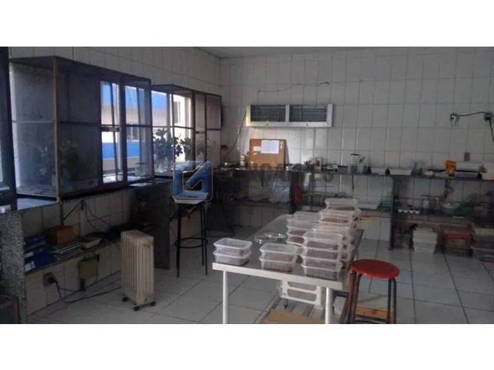 Prédio Comercial à Venda na Av. Pery Ronchetty | 1.500m² (1.500m² área interna e externa)  - Foto 4