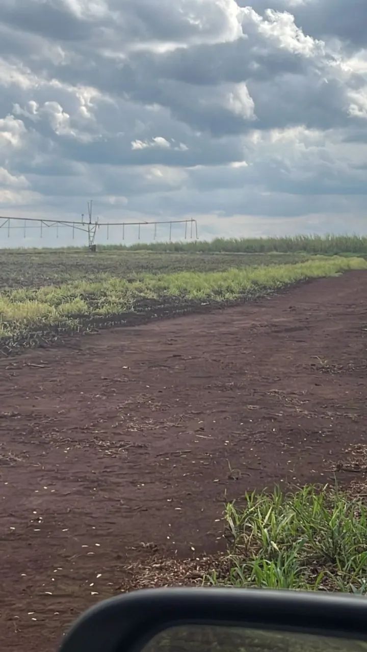 fazenda a venda na região de santa Helena de Goiás - Foto 4